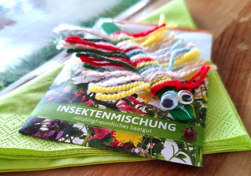 Kita Tausendfüßler (2)