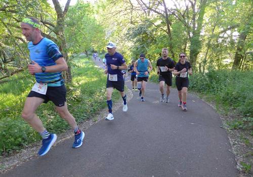Salzland Lauf 2025 copyright Jens Uwe Börner (1) © Jens-Uwe Börner Salzland Lauf 2025 copyright Jens Uwe Börner (1) © Jens-Uwe Börner