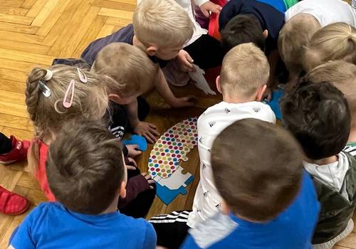 INS Sportfest Puzzle