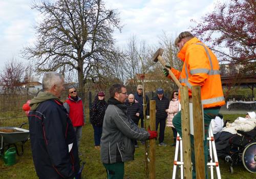 INS Aktionstag Baum der Inklusion (2)